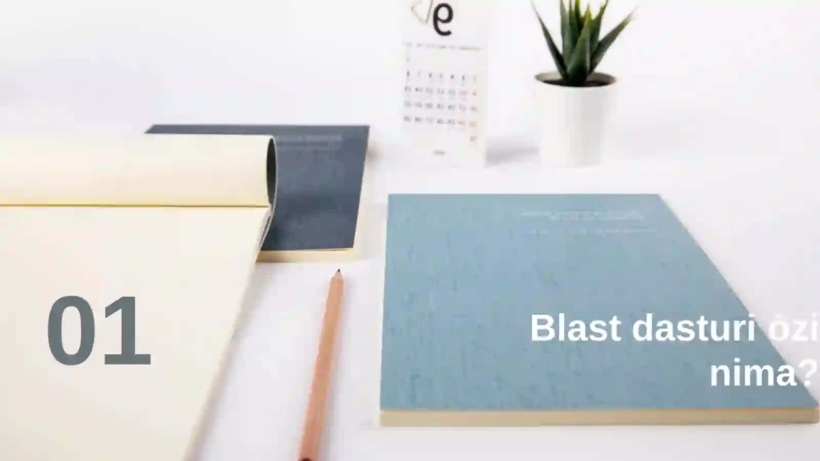 BLAST (Basic Local Alignment Search Tool) 3