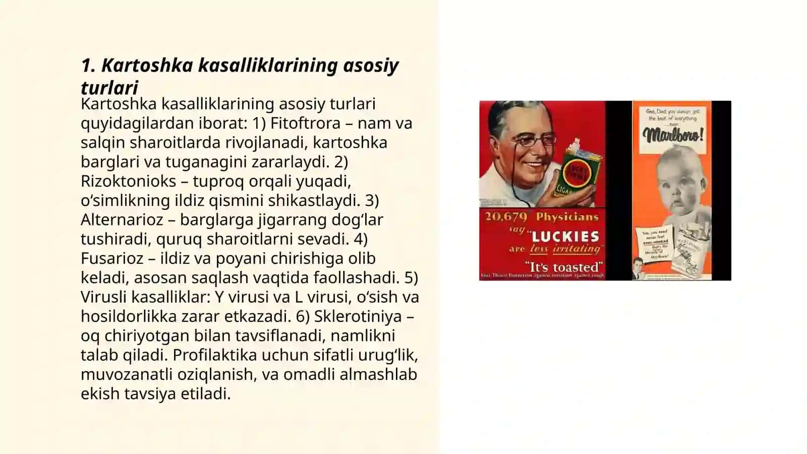 Kartoshka kasalliklari va ularga qarshi kurash choralari 3