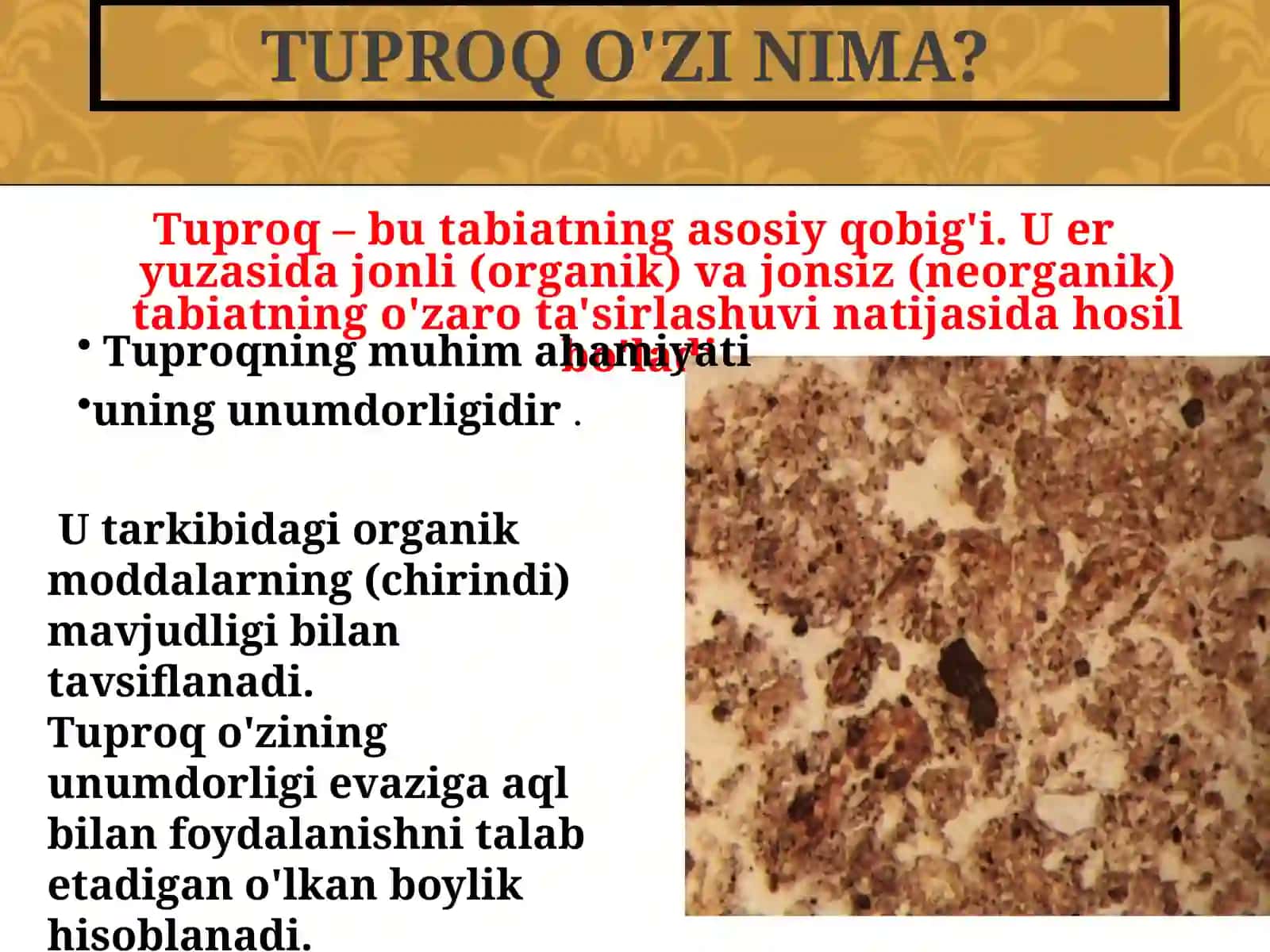 Tuproqshunoslik fanining maqsadi,vazifasi 3