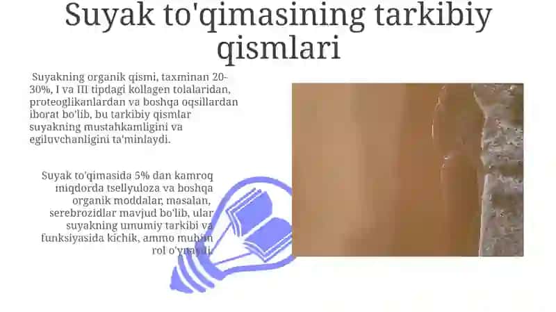 Suyak toʻqimasining mineralizatsiyasi 3
