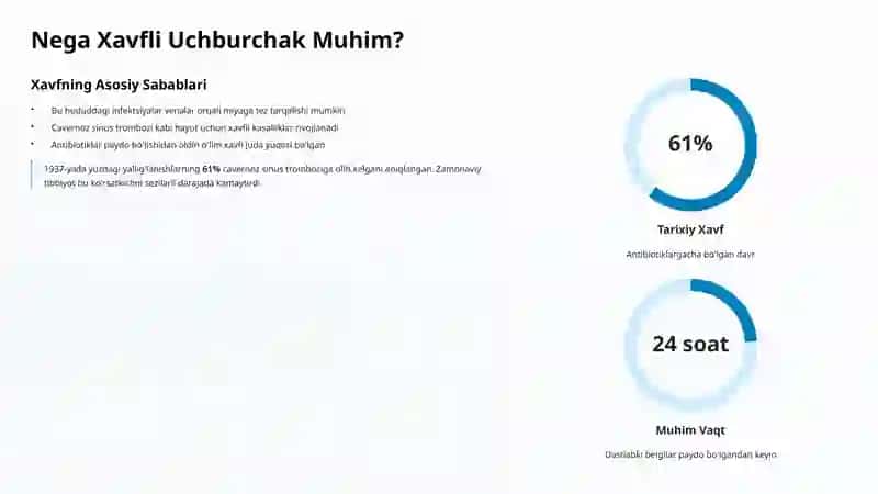 Xavfli Anatomik Nuqtalar: Yuz va Bo'yin Sohasidagi Muhim Ogohlantirishlar 3