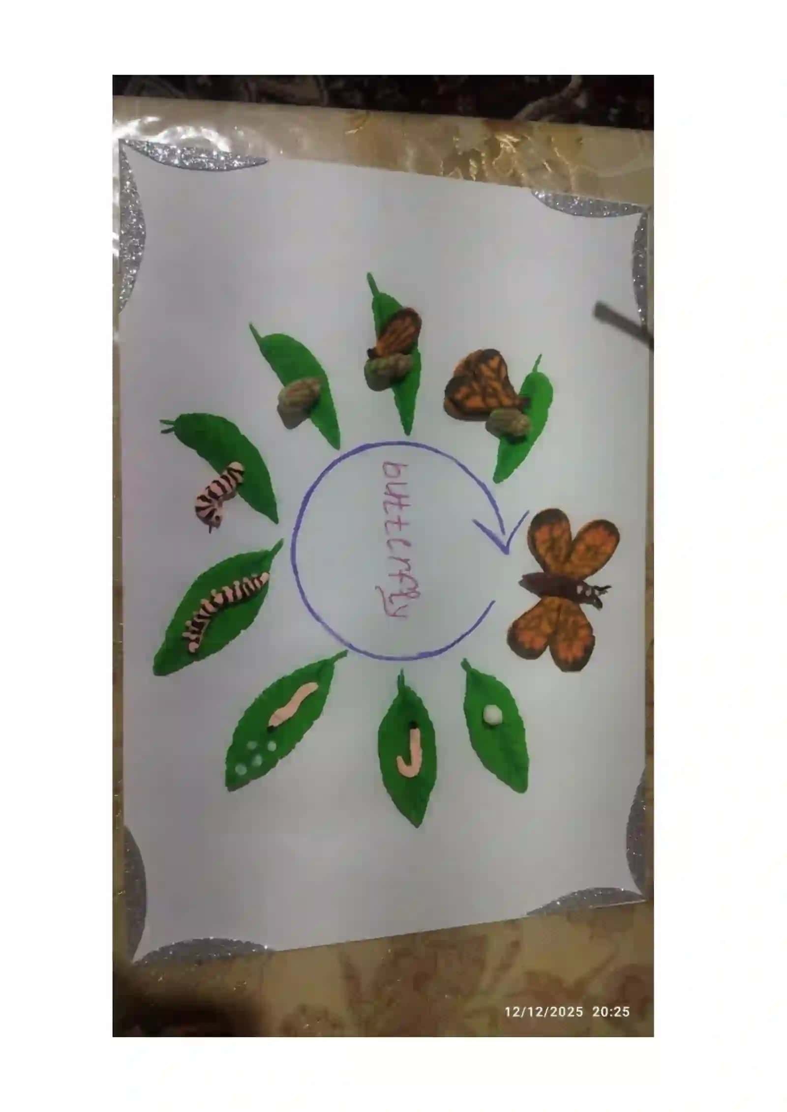 Kapalaklarda to‘liq metamorfoz jarayoni va uning entomologik ahamiyati 3