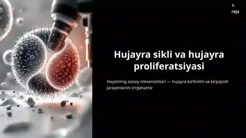 Hujayralarning mitotik va hayotiy sikli. Hujayra proliferatsiyasi. Xujayraning meyotik bòlinishi. Mitoz va meyozning patologiyasi. 3