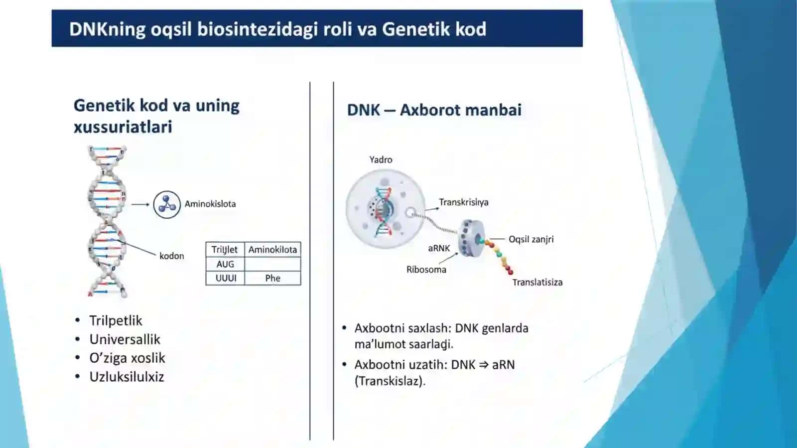 DNK oqsili biosintezidagi roli, Genetik injenerya taqdimot 3