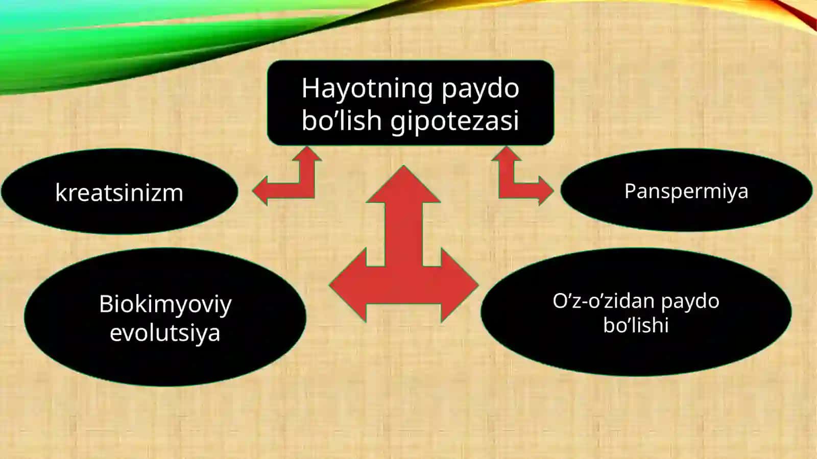 Evolyutsion jarayonlar va ularning umumiyqonuniyatlari 3