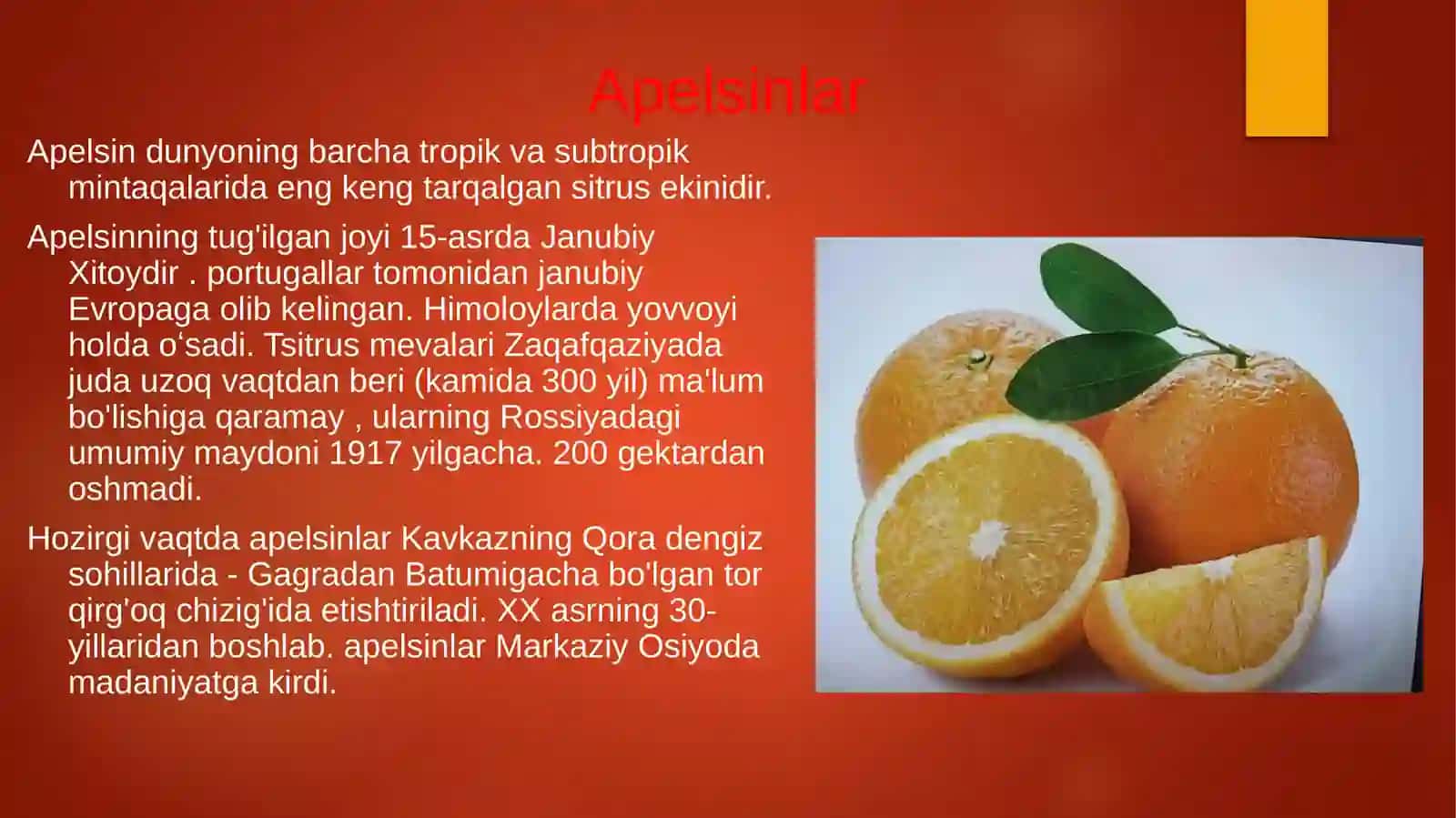 Apelsinlar 3
