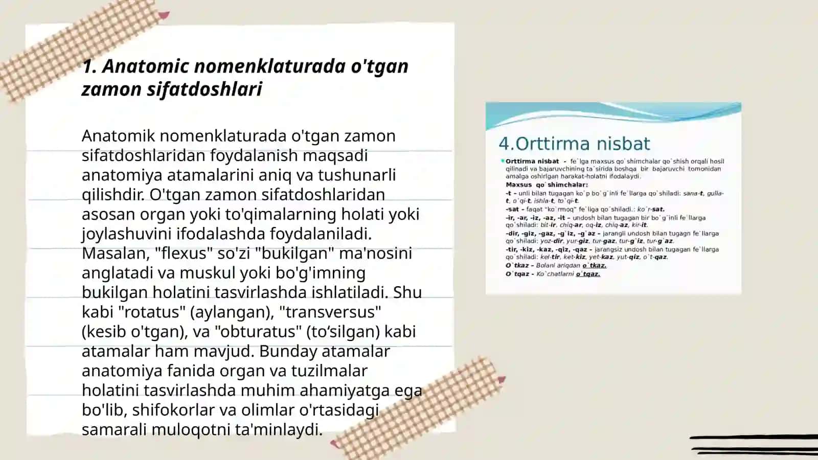 Anatomic va gistalogik nomenklaturalarida qo'llaniladigan o'tgan zamon sifatdoshlari 3