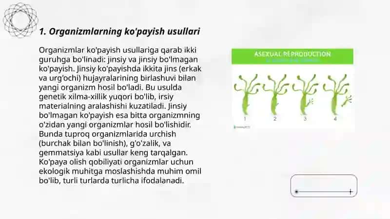 Organizmlarning jinsiy va jinsiz ko’payishi 3