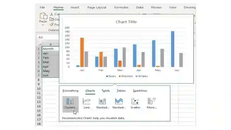 Microsoft Excel 3