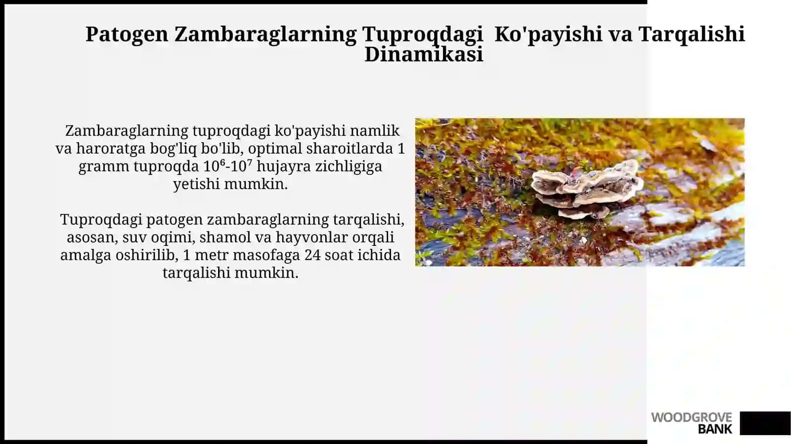 Patogen Zambarunglarning Tuproq Mikrobiotasiga Ta'siri 3