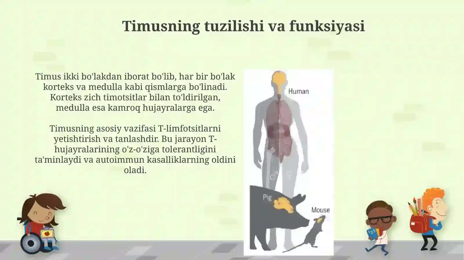 Timus va yoʻldosh garmonlari 3