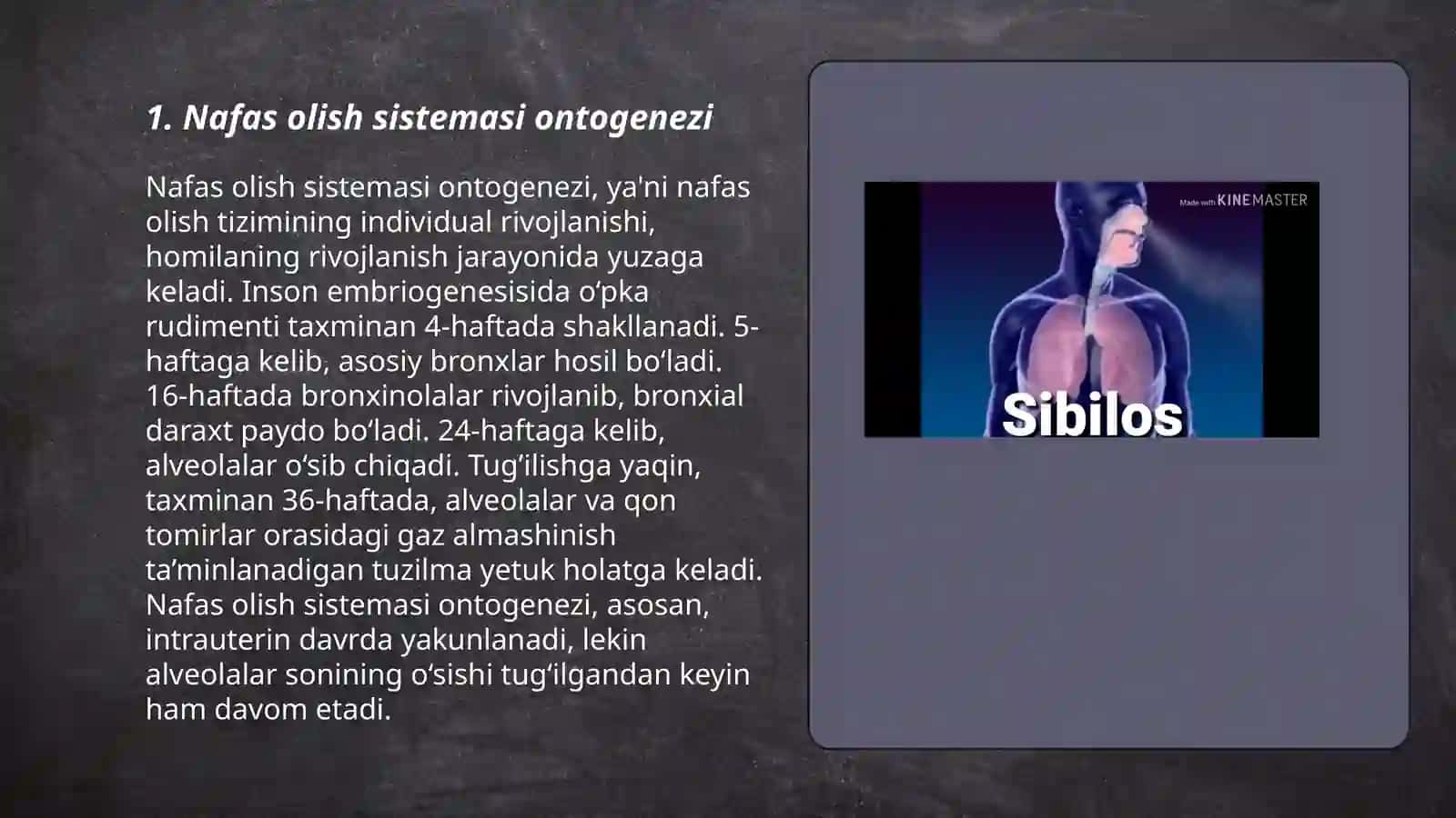 Organlar sistemasining onto-filogenezi:Nafas olish qon aylanish endokarin ayrish sistemasi 3