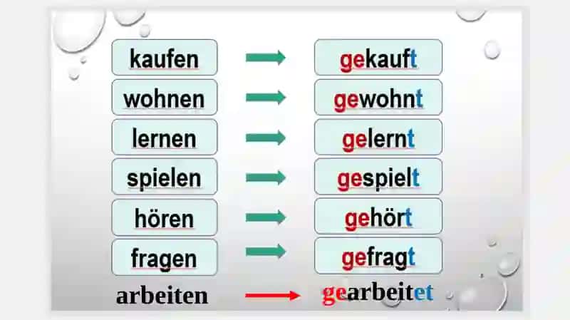 Perfekt mit “haben” 3