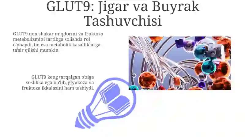 Glyukoza tashuvchilari klinik ahamiyati 3