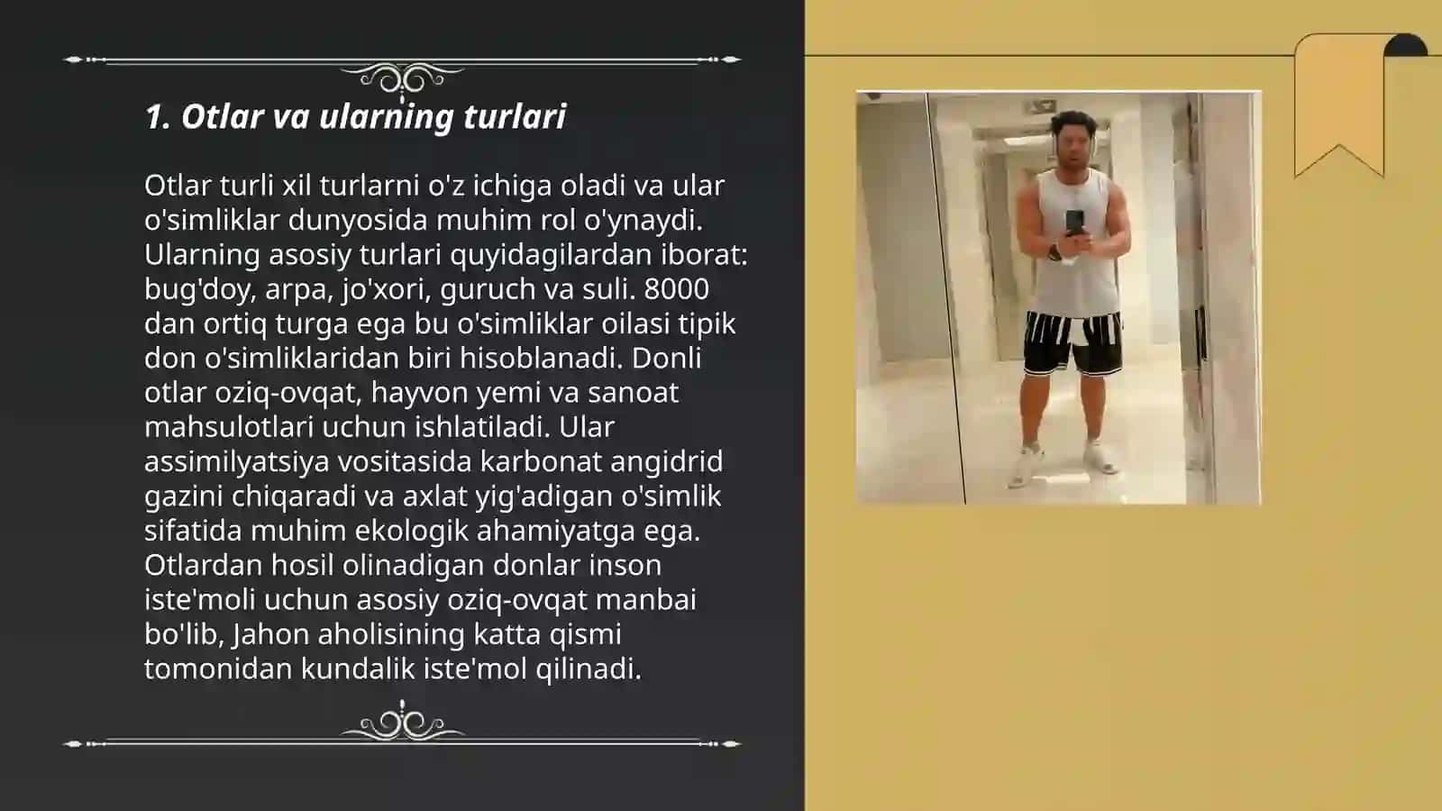 So'zlarni turkumlarga ajratish tamoyillari 3