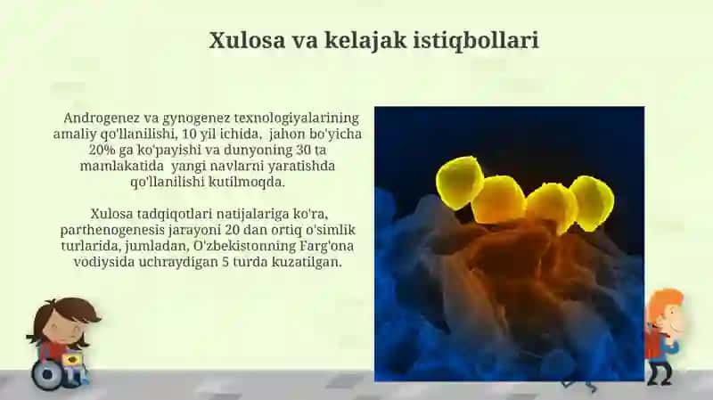 Androgenez, Ginogenez va Partenogenez tushunchalari 3
