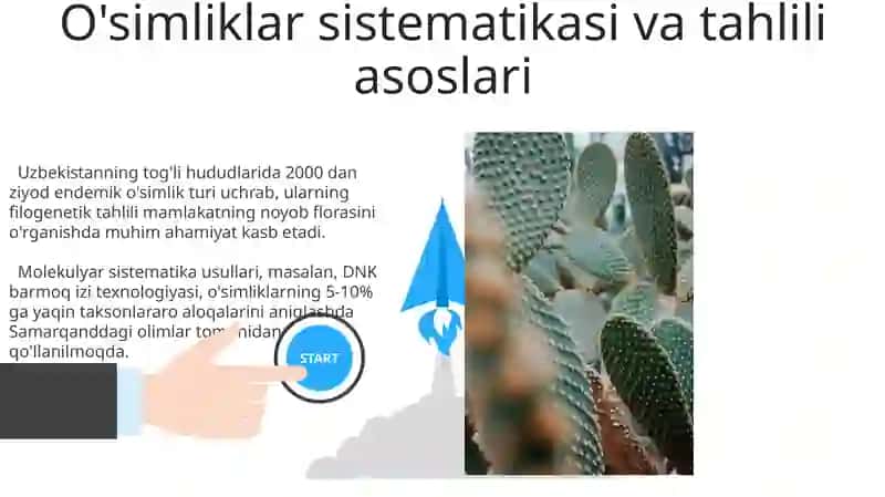 O'simliklar sistematikasi va tahlil 3