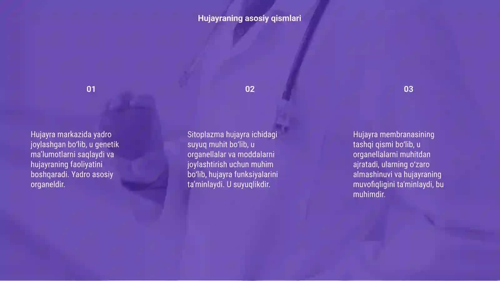 Hujayra va organellalarning morfologik jihatdan tuzilmaviy asosi 3