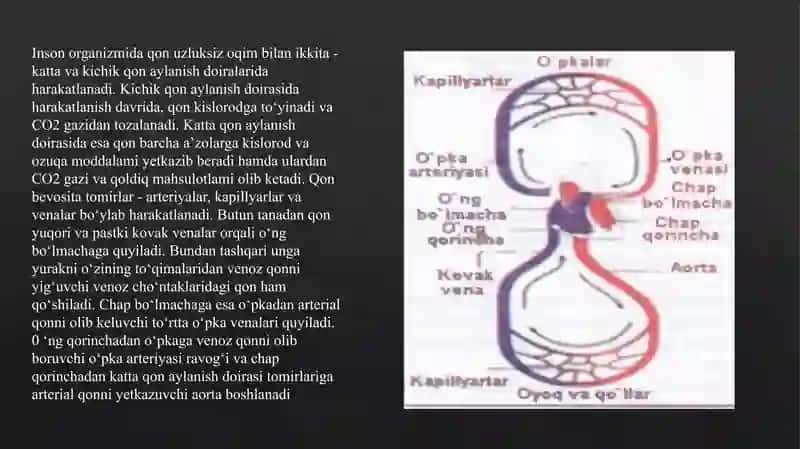 Yurak Qon Tomir Kasalliklarida Bemorlarni Tekshirish Usullari 3