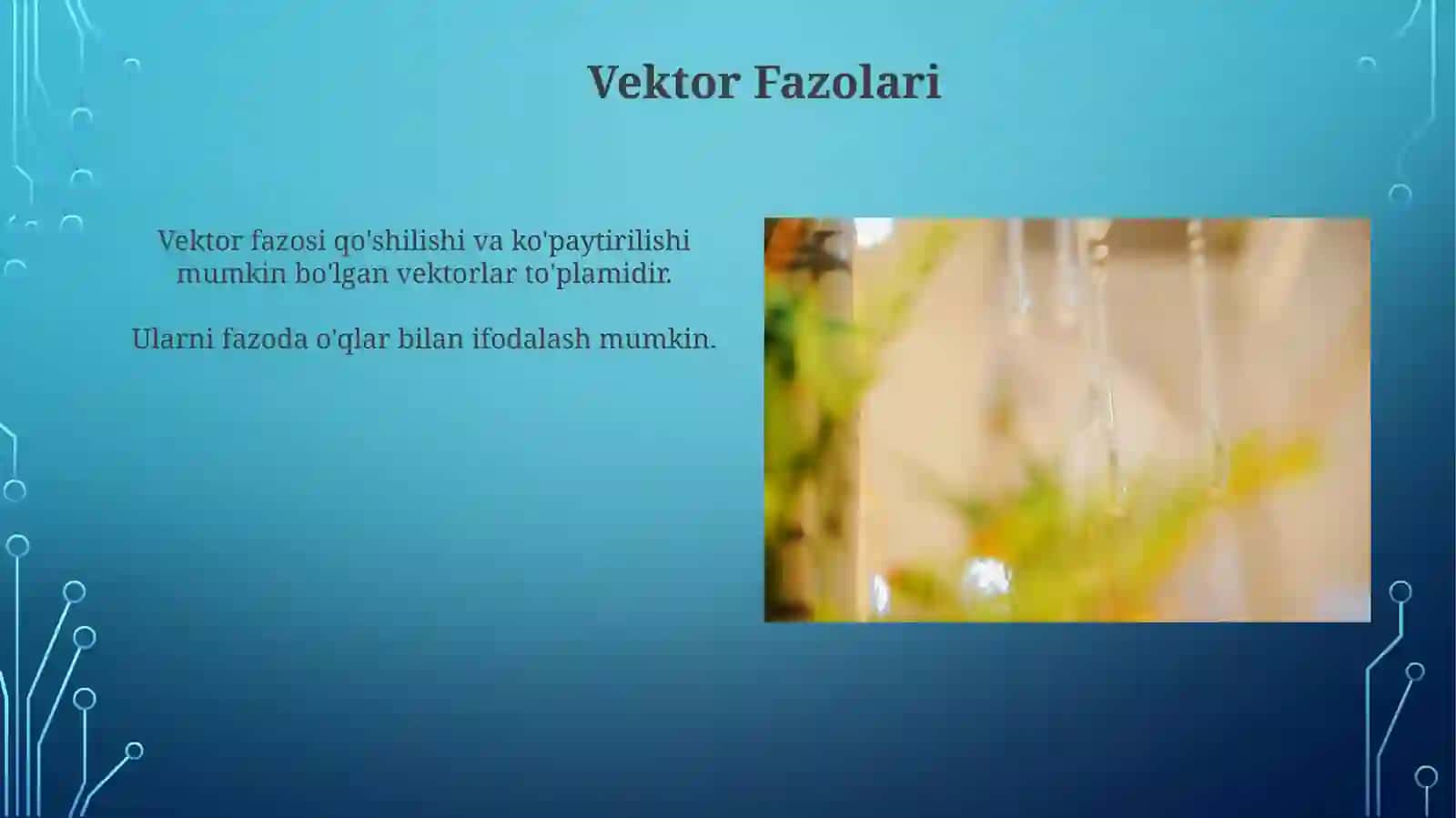 Vektorlar 3