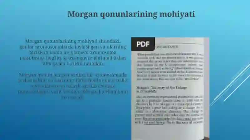 Morgan qonunlari. Jins genetikasi. Jinsga bogʻliq kasalliklar 3