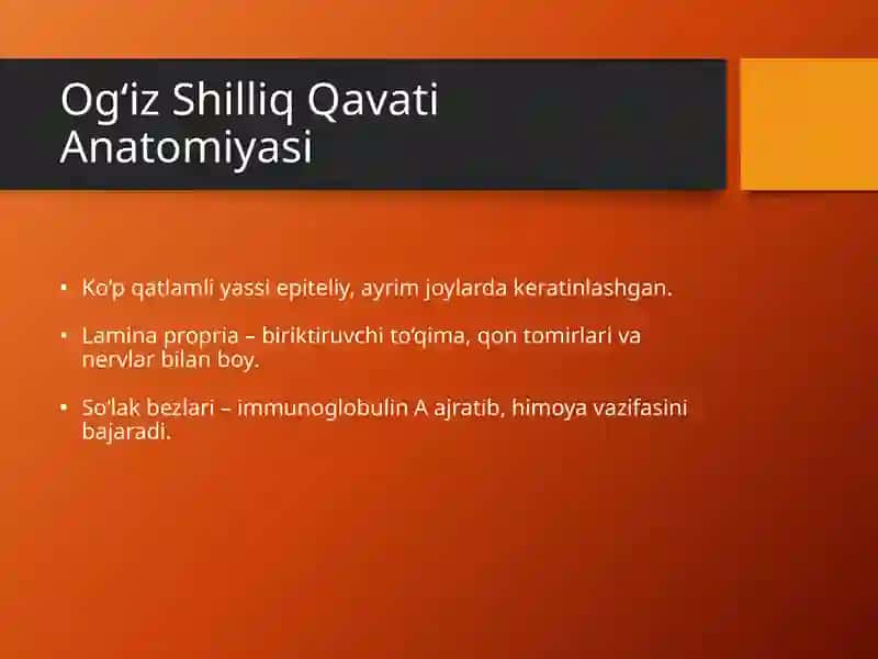 Tishva Og‘iz Bo‘shlig‘i Shilliq Qavati, Parodont Kasalliklari 3