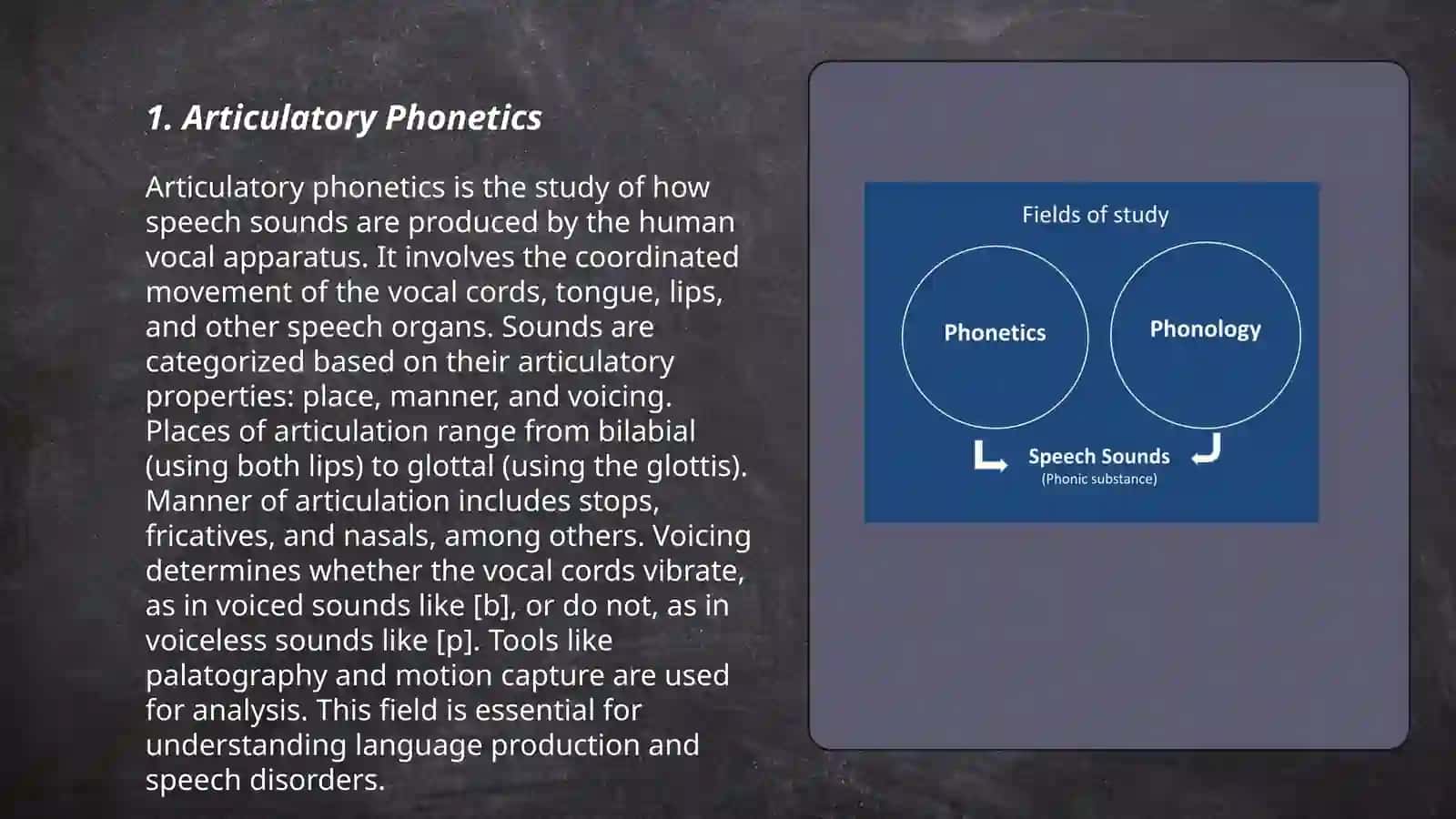 Phonetic and Phonology 3