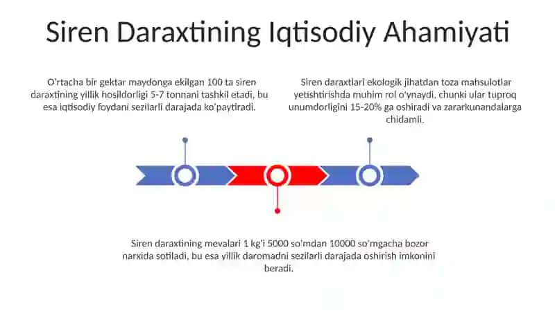 Siren daraxti 3