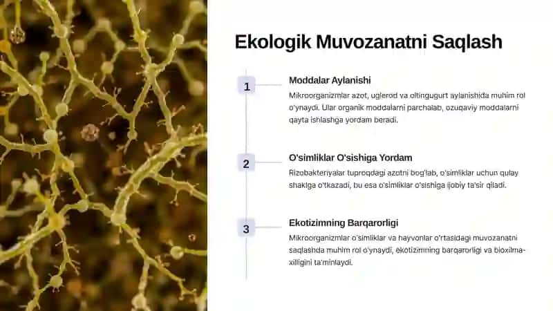 Mikroorganizmlarning Tabiatda Tarqalishi 3
