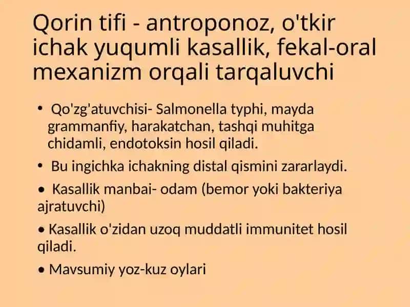 Qorin Tifi 3