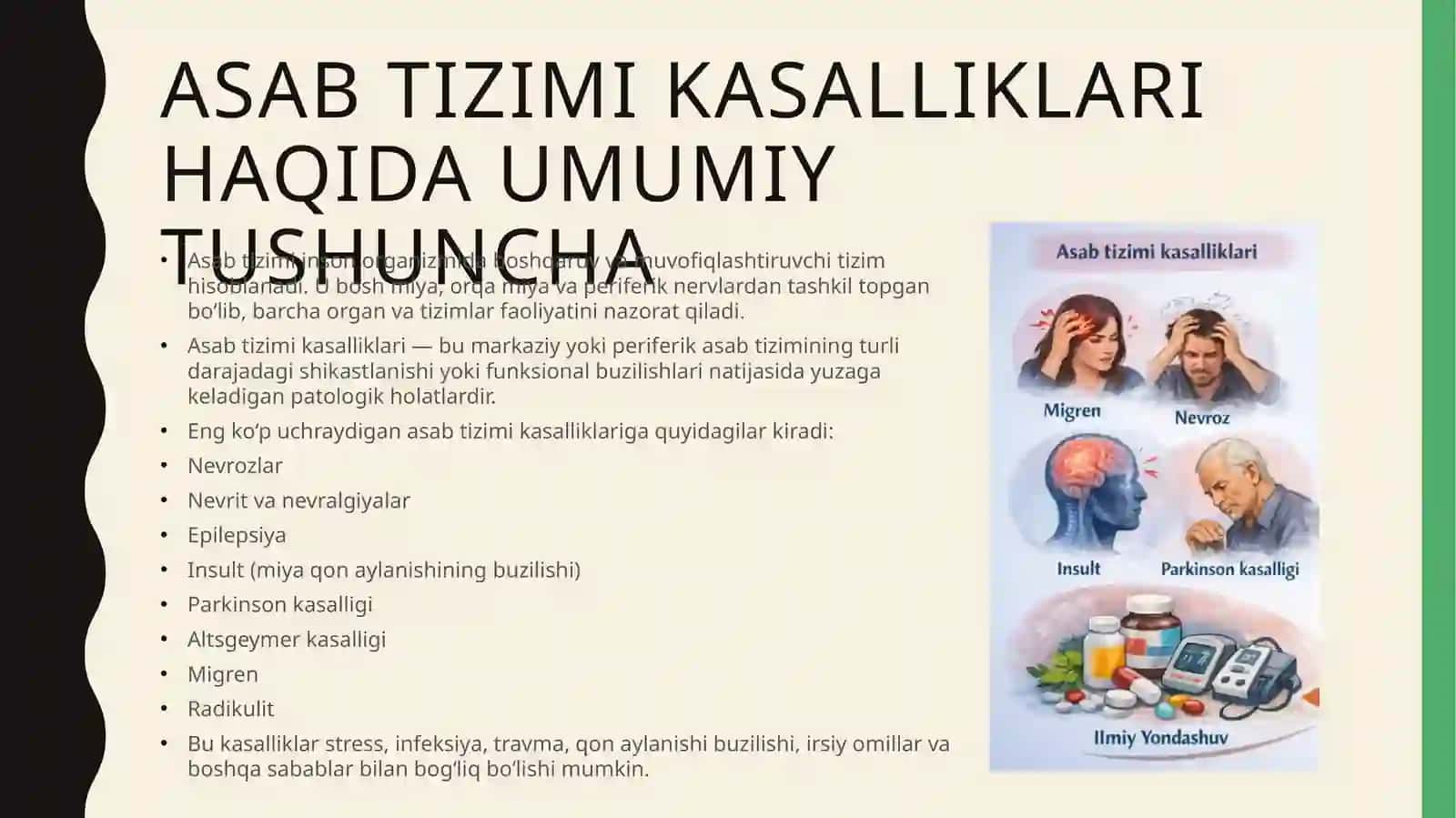 Asab tizimi kasalliklari va ularni tashxislash va davolashda xalq tabobatining zamonaviy integratsiyasi 3