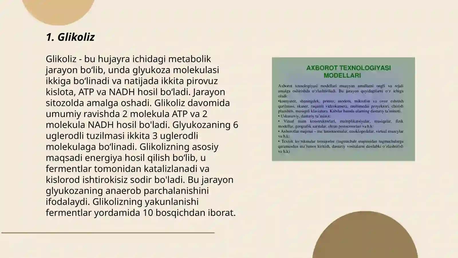 Metabolitik jarayonlarning asosiy yo'llari 3