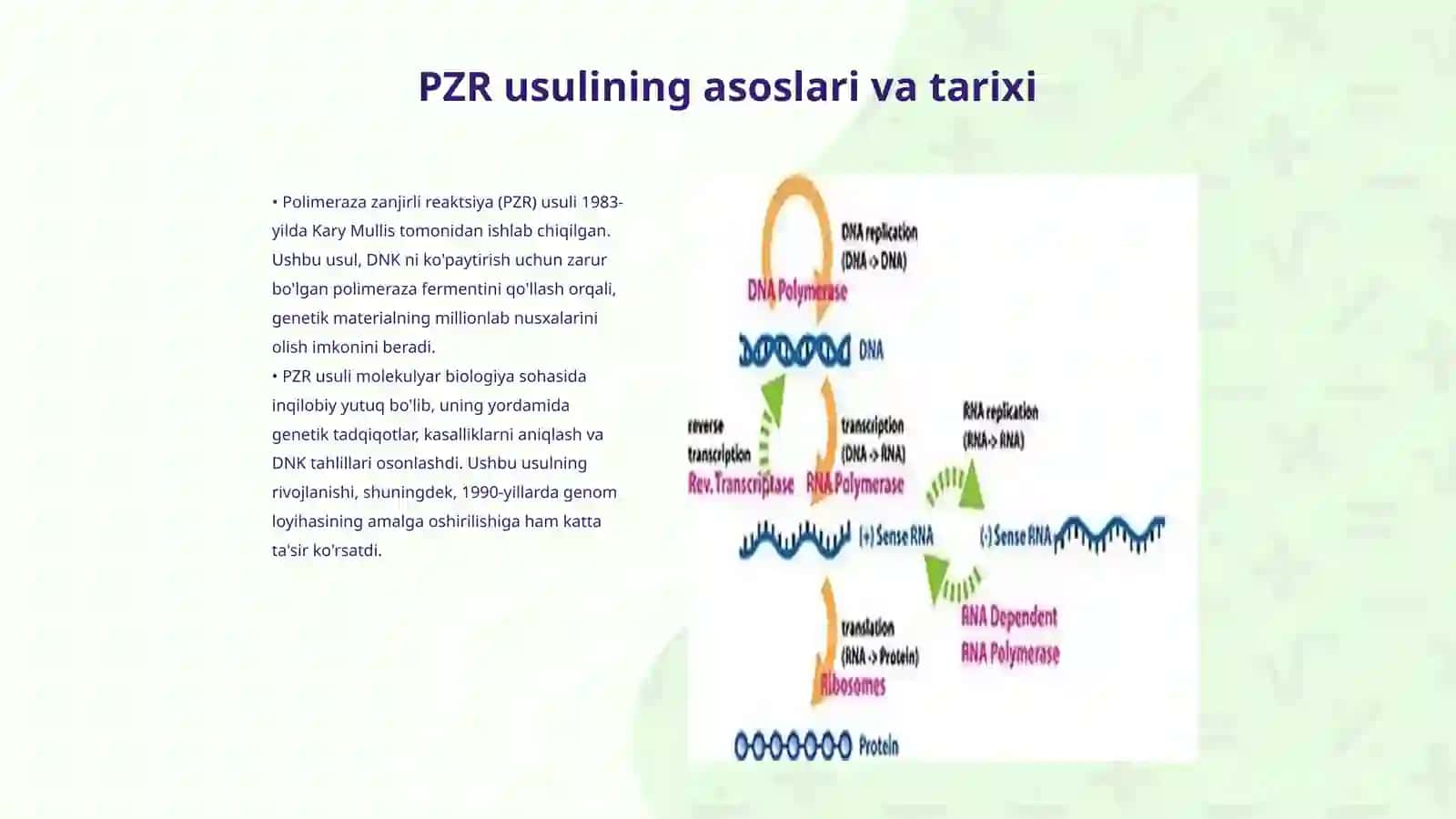 Molekulyar biologiya sohasida PZR usuli va uning fan rivojidagi yutuqlari 3