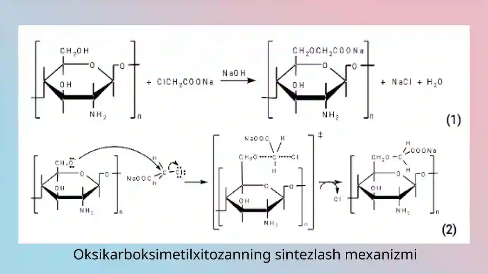 KARBOKSIMETIL XITOSAN APIS MELLIFERA MOLEKULAR MODELI VA ATOMNING ZARYADLANISHI 3