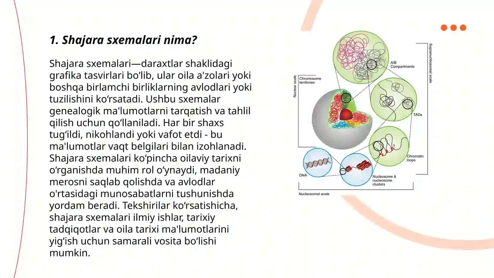 Shajara sxemalari va katiotip taxlili 3