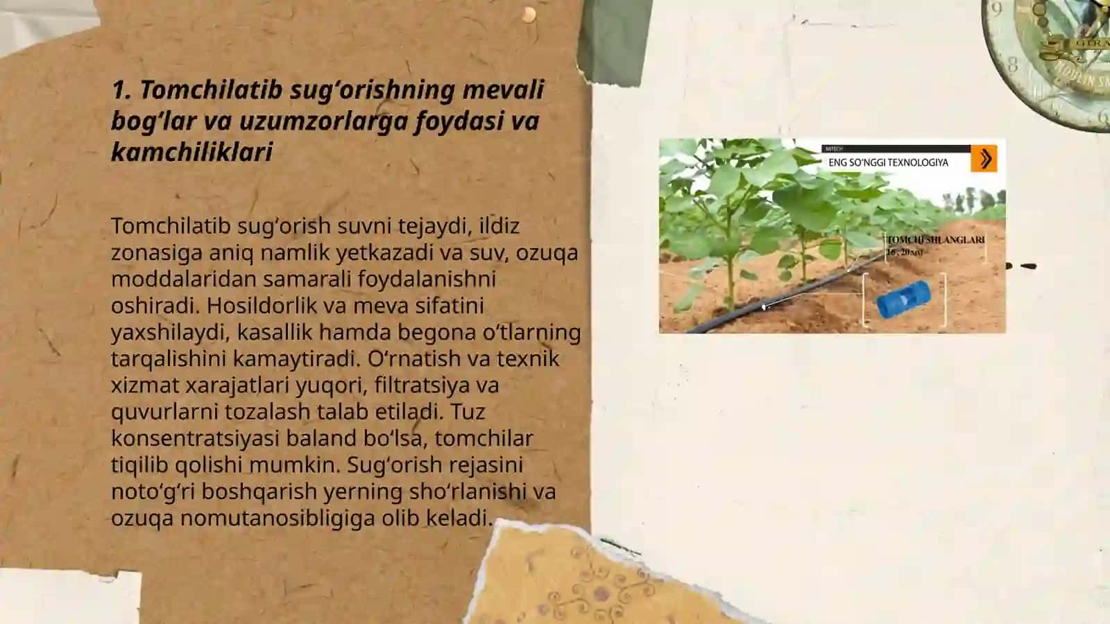 Mevali bogʻlar va uzumzorlarda tomchilatib sugʻorish usulini qoʻllash 3