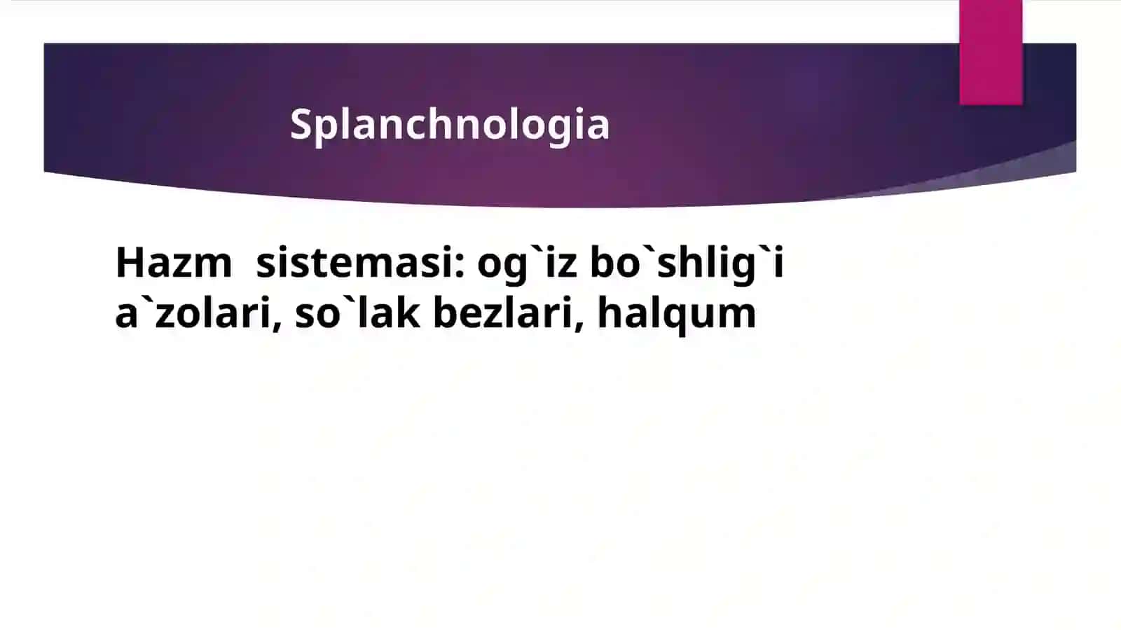 Hazm  a’zolarining  rengenanatomiyasi  va  rivojlanish  nuqsonlari 3
