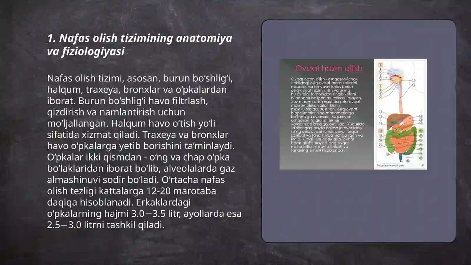 Nafas olish tizimining yoshga oid xususiyatlari va gigiyenasi 3