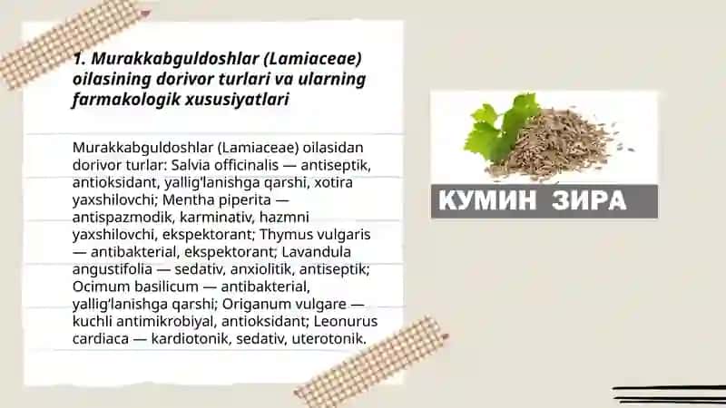 Murakkabguldoshlar va ziradoshlar oilasiga mansub dorivor oʻsimliklar 3