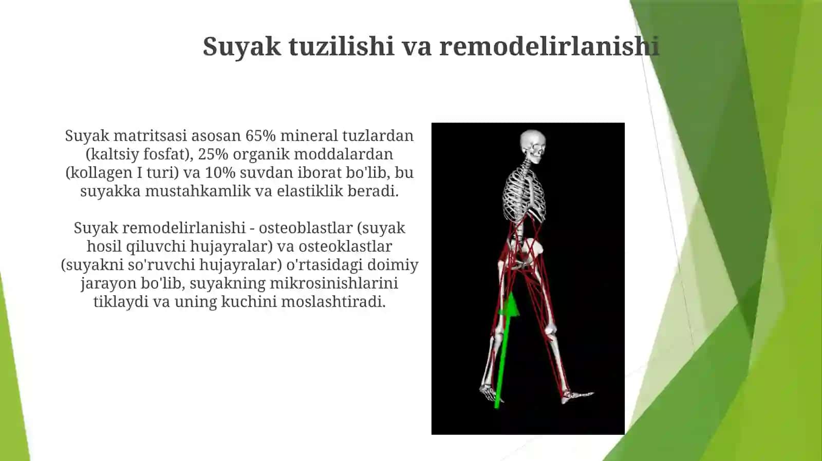 Mexanikharakatlarningsuyaklargata'siri 3