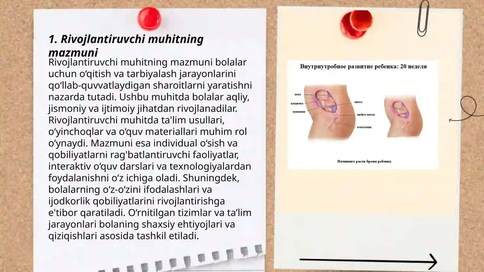 Rivojlantiruvchi muhit va unga qo`yiladigan talablar 3