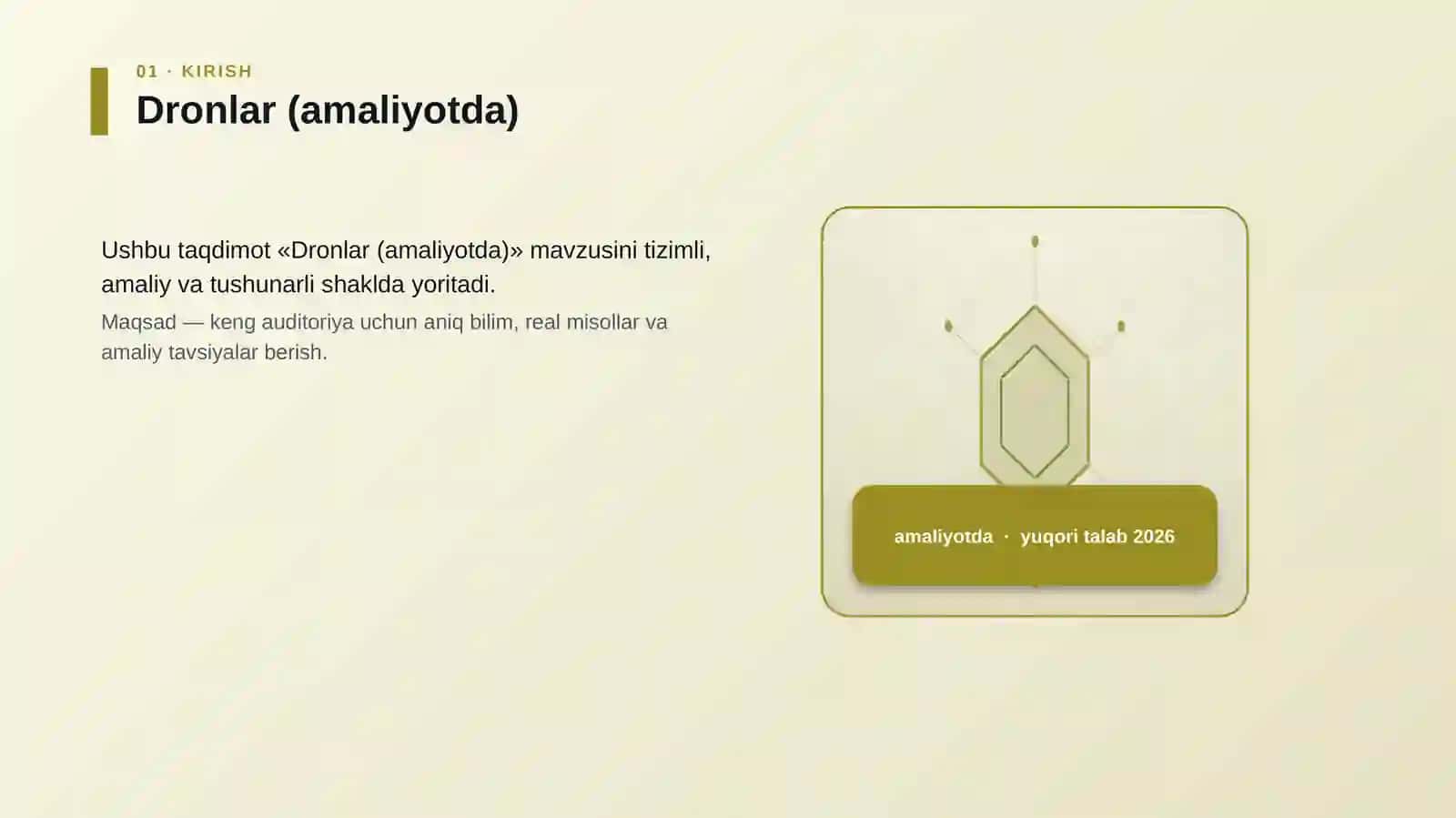 Dronlar (amaliyotda) 3