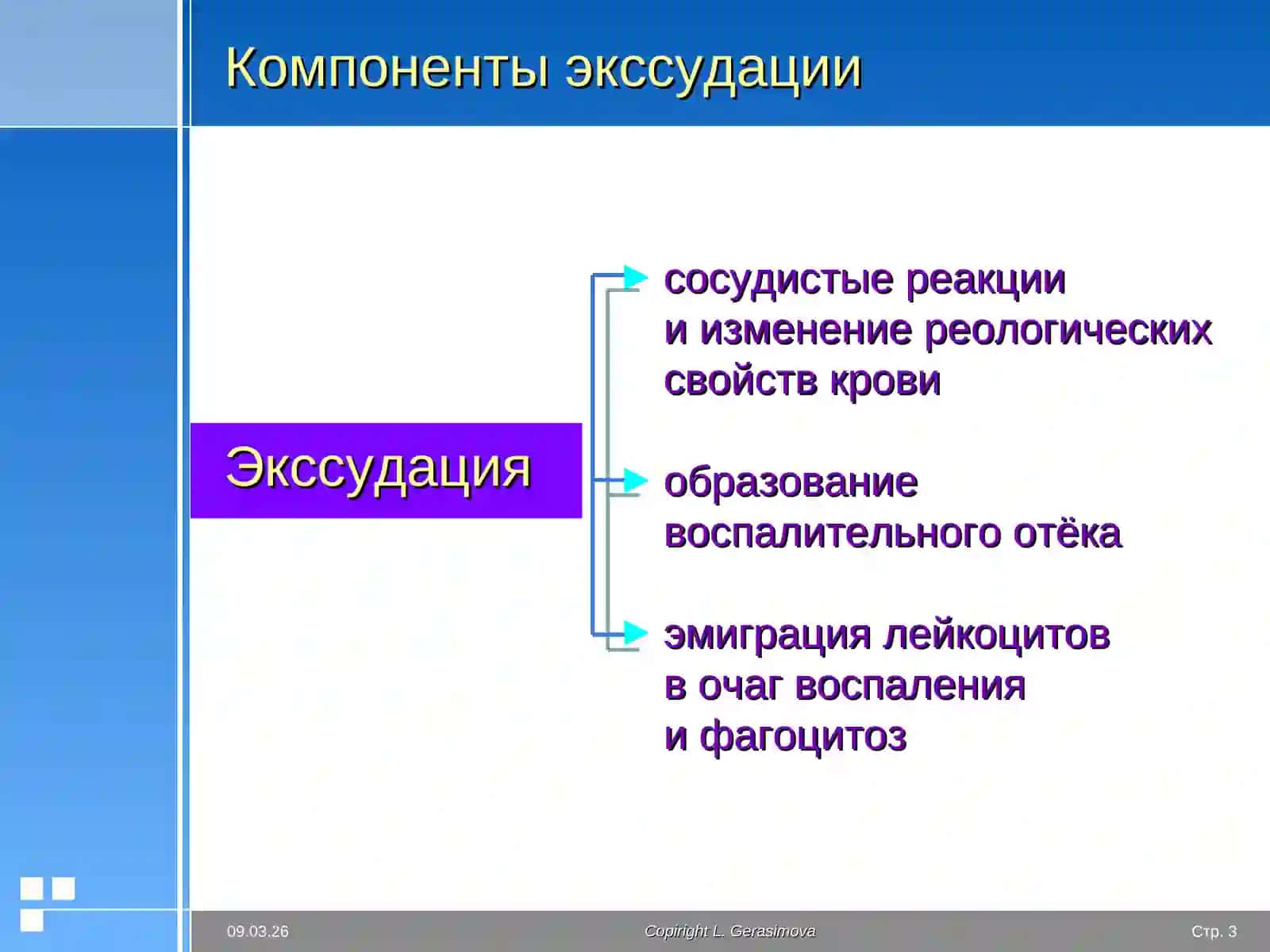 Экссудация 3