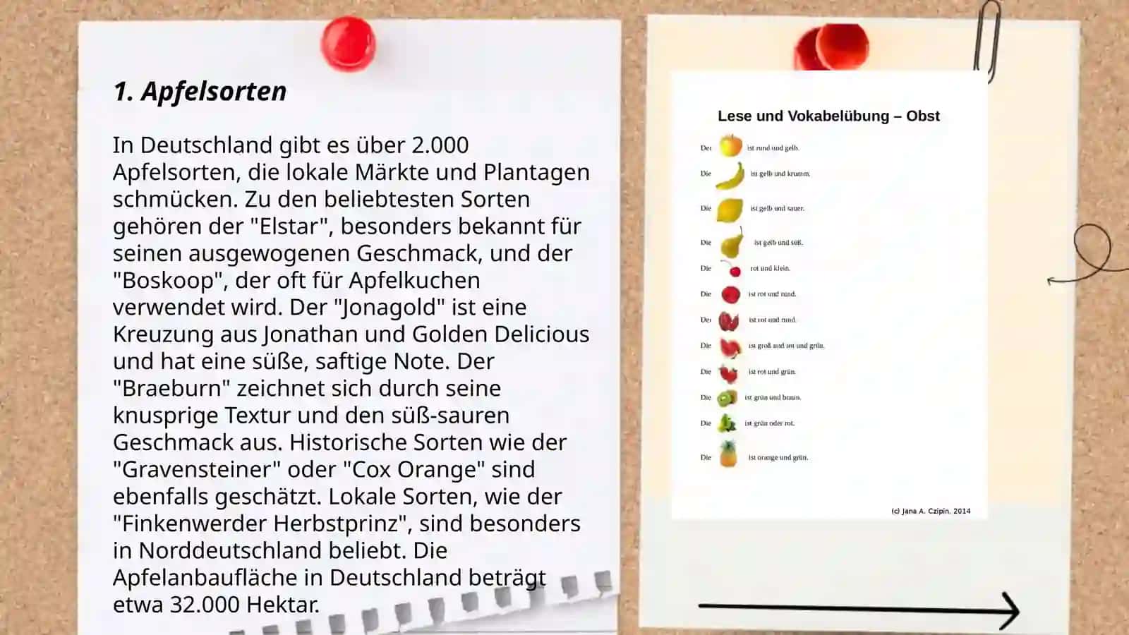 Apfelsorten 3