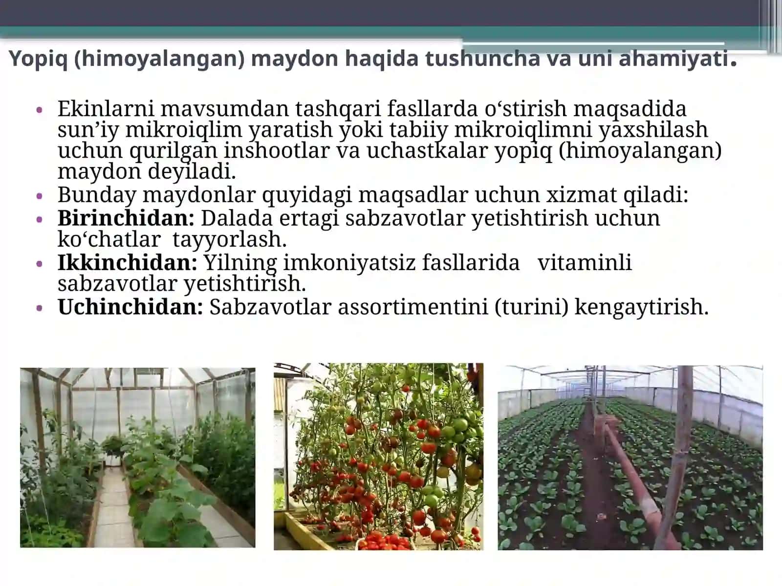 Yopiq (himoyalangan) maydon inshootlari turlari, tuzilishi va vazifalari 3