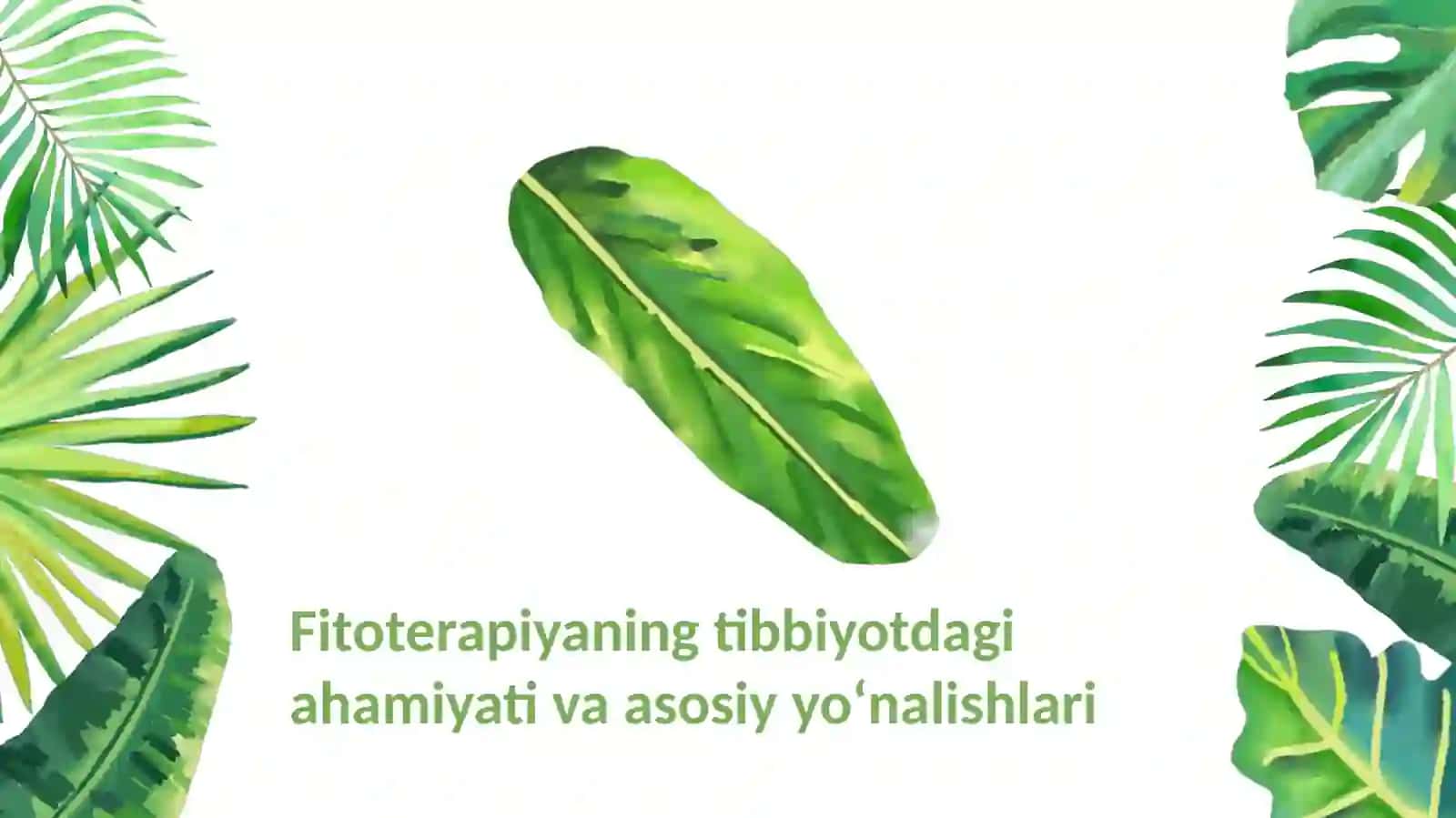 Fitoterapiyani tibbiyotdagi oʻrni 3