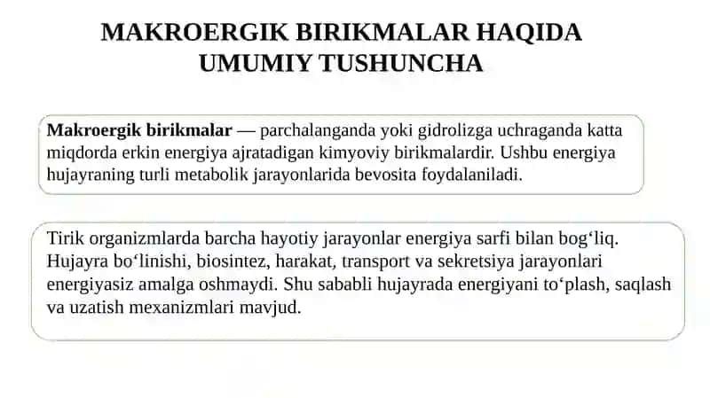 O'simliklar fiziologiyasi mustaqil ish 3