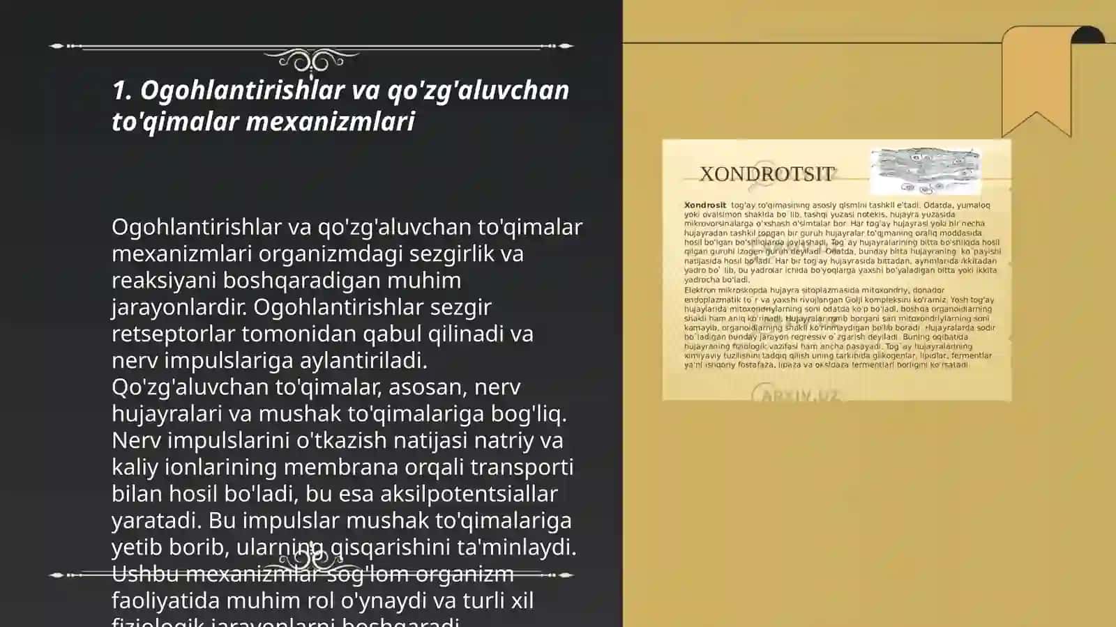 Ogohlantirishlar va qo'zg'aluvchan to'qimalar mexanizmlari 3