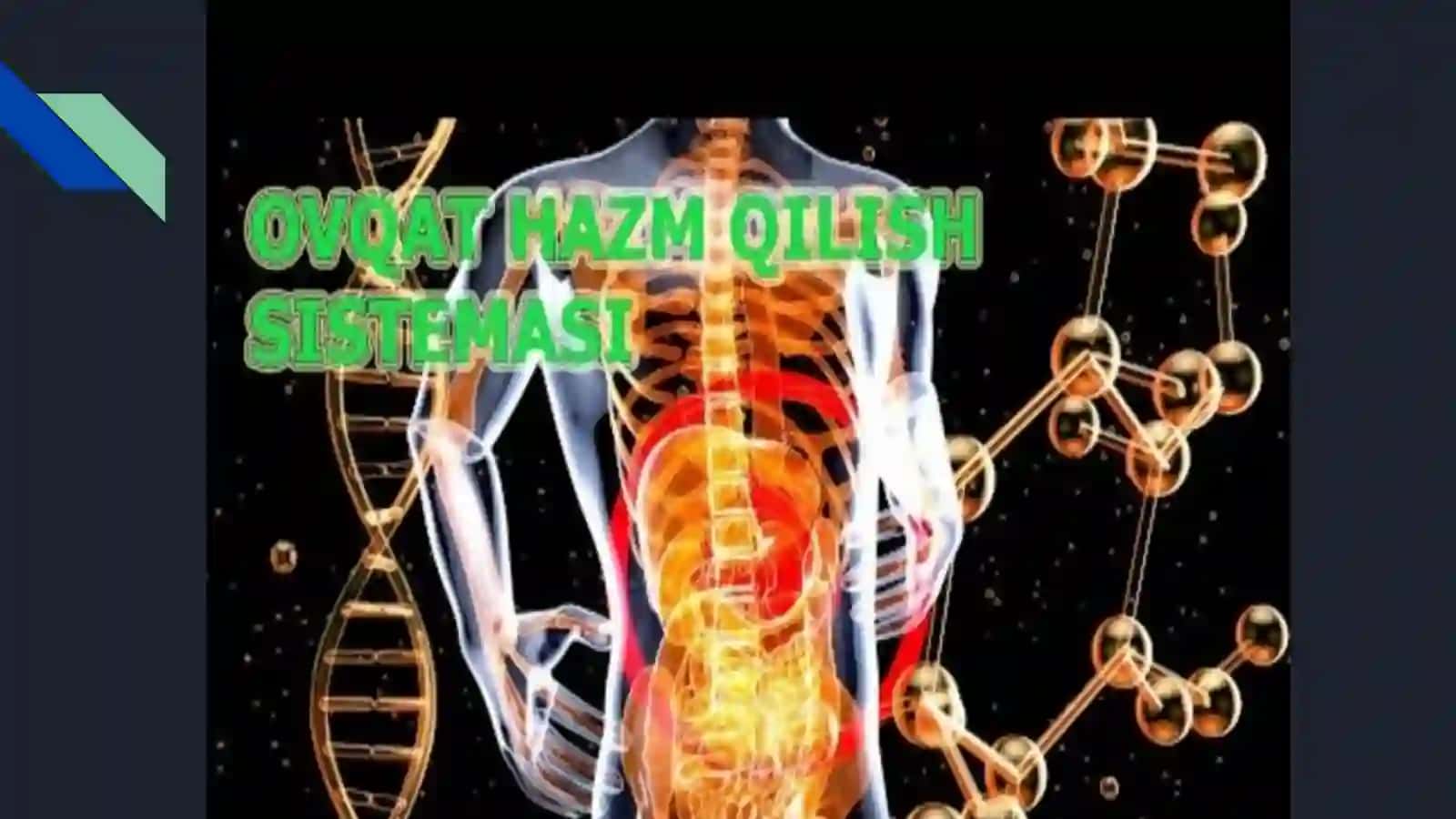 Ovqat hazm qilish tizimi 3