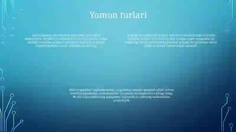 Bad Larning Ishlatilishidagi Nazorat 3